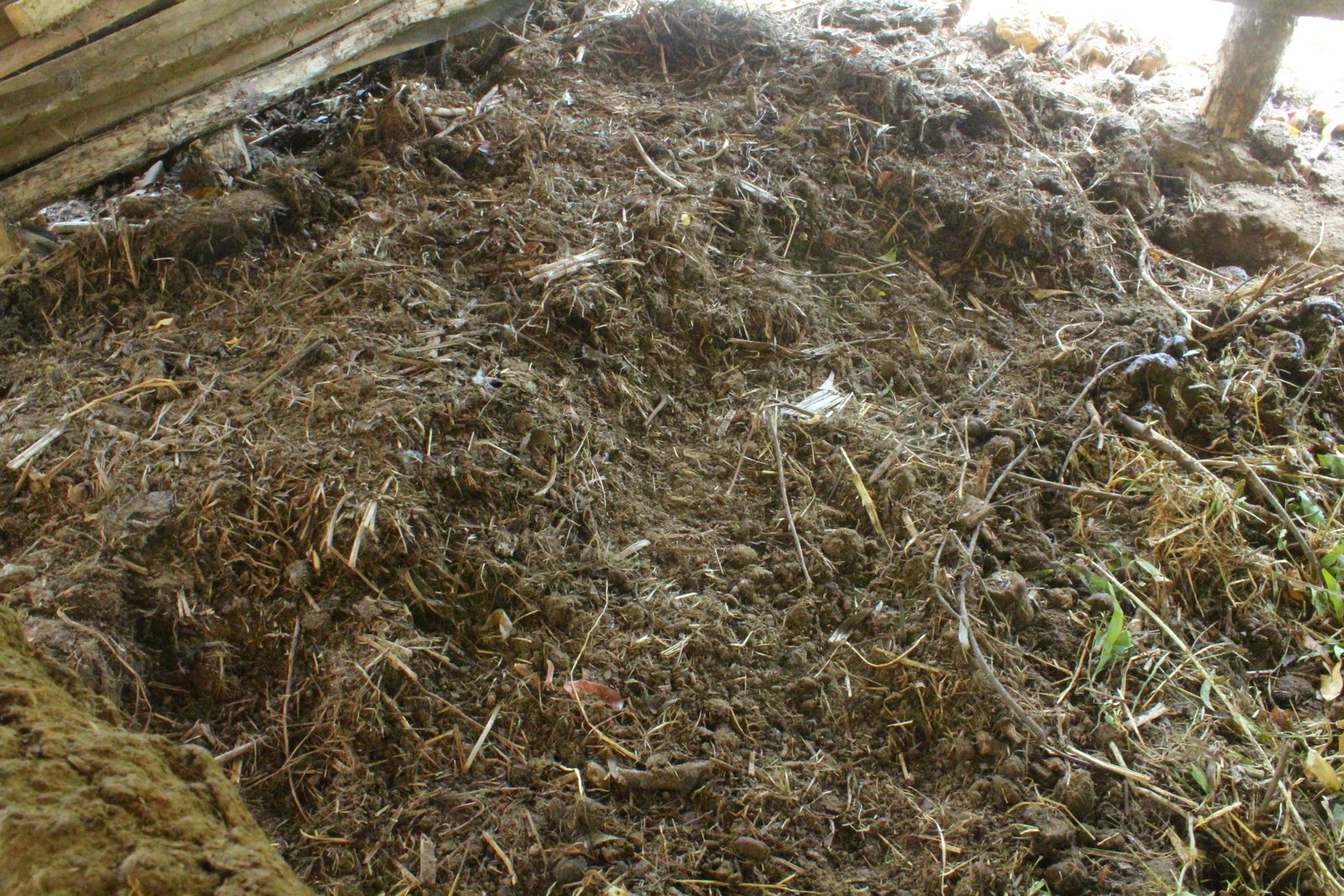 Biogas